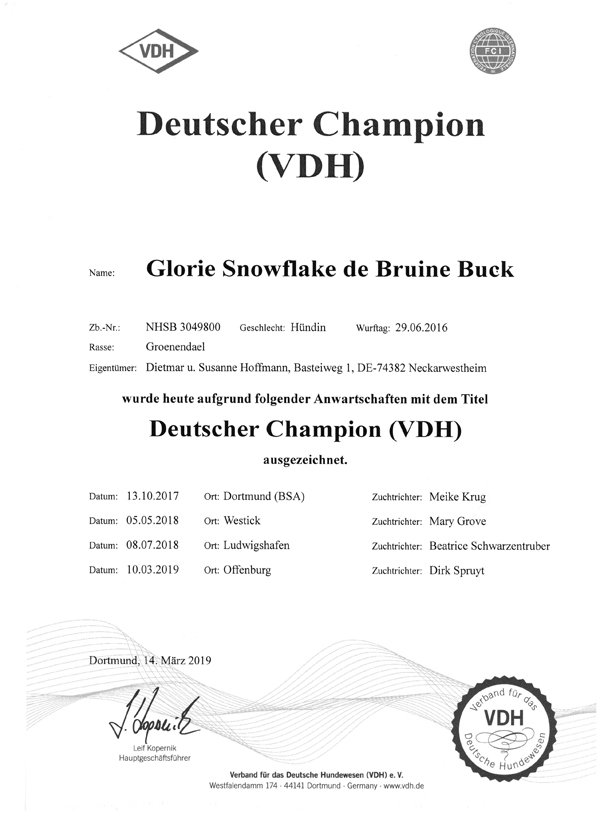 VDH Champion